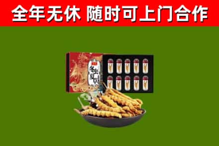 封丘烟酒回收冬虫夏草礼盒.jpg